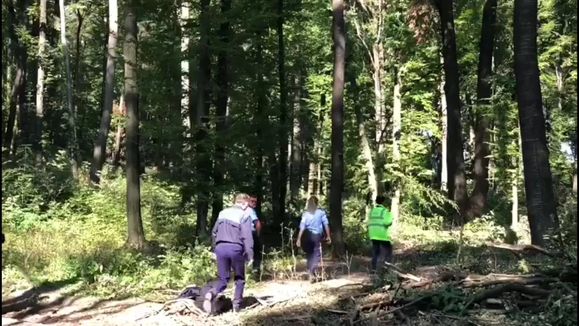 bărbat strivit copac Botoșani