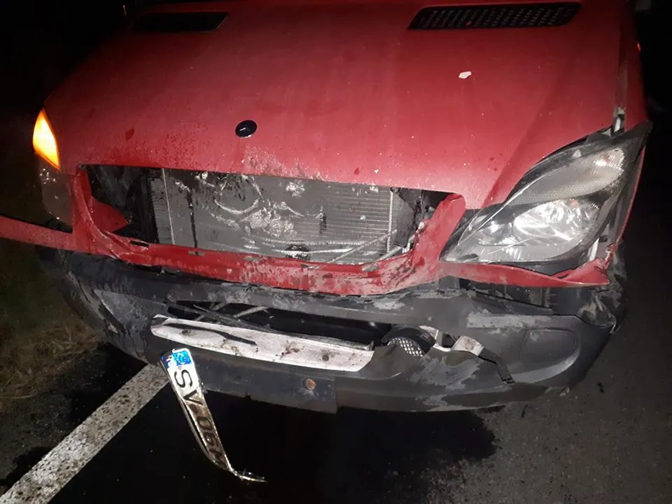 mașină avariată porc mistreț