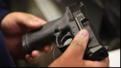 pistol