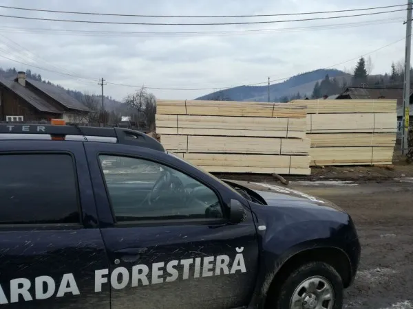 controale Garda Forestieră Suceava