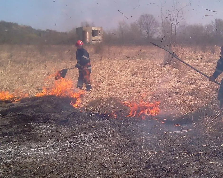 incendiu vegetatie