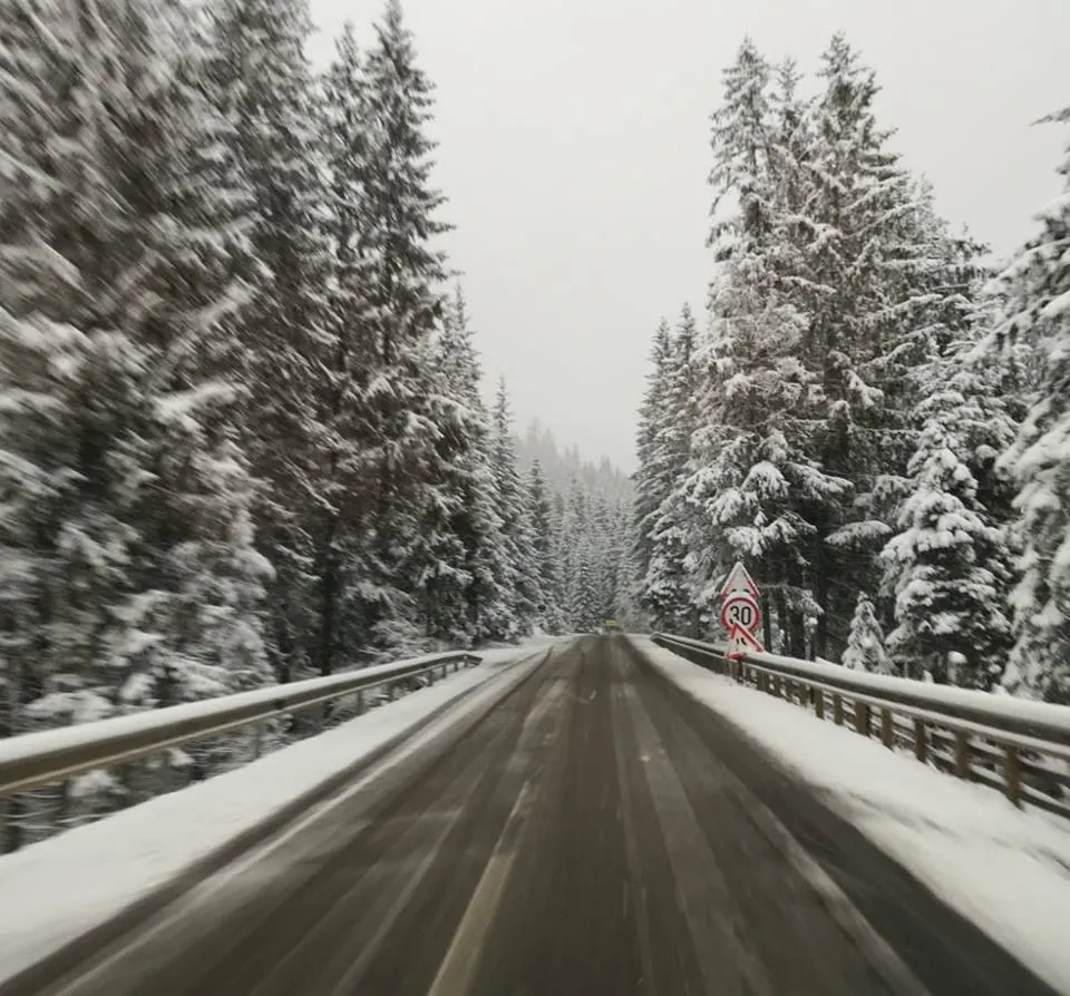 ninsori zona de munte a județului Suceava
