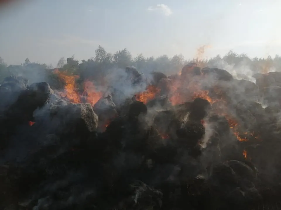 incendiu Poiana