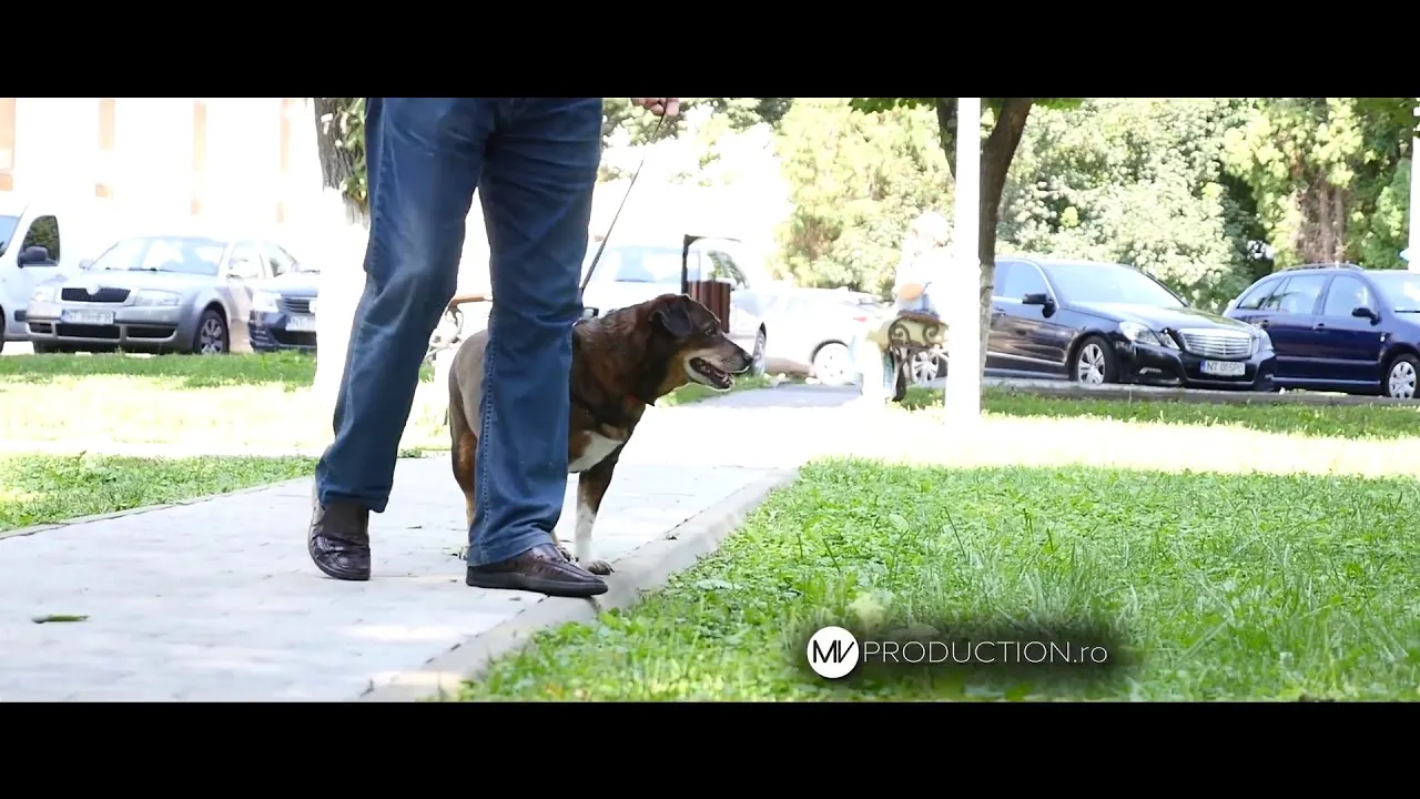 92743