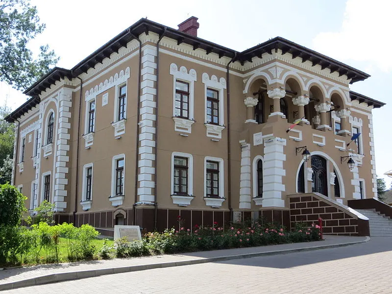 muzeul-de-art-ion-irimescu