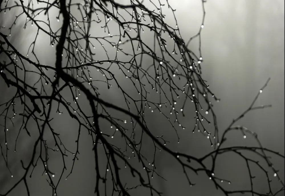Vreme deosebit de rece, ninsori la munte și precipitații mixte