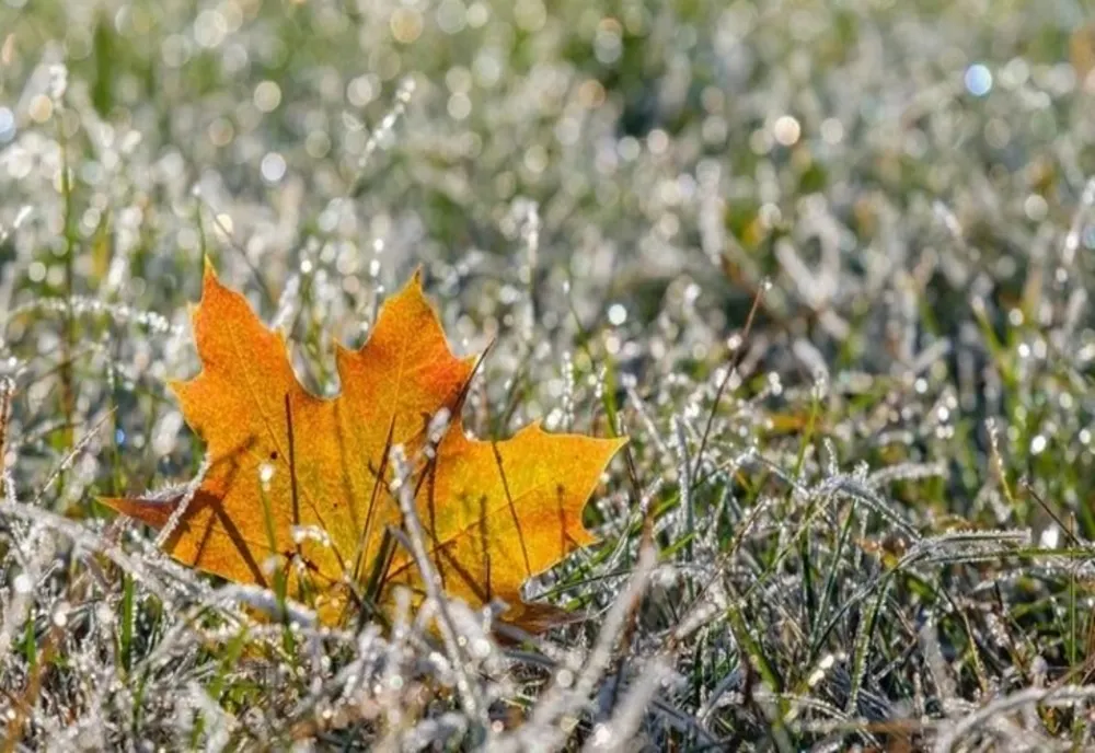 Prognoza meteo pentru următoarele două spătămâni