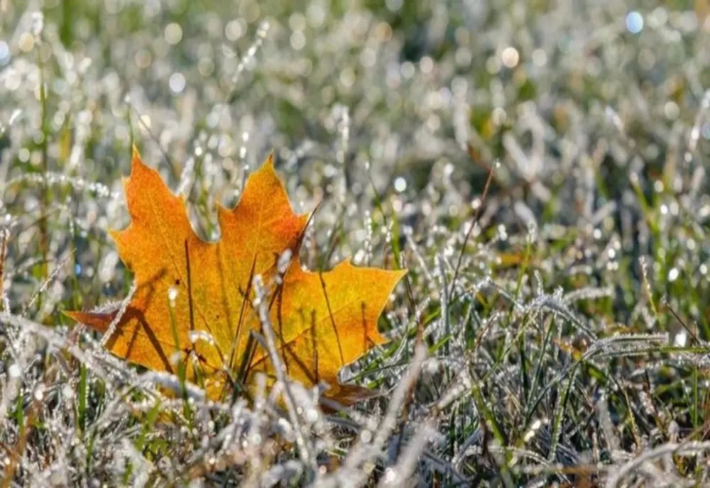 Prognoza meteo pentru următoarele două săptămâni