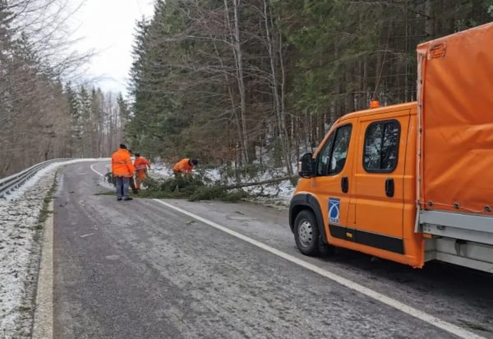 Arbori căzuți pe carosabil pe DN 17 A în zona Pasului Palma FOTO