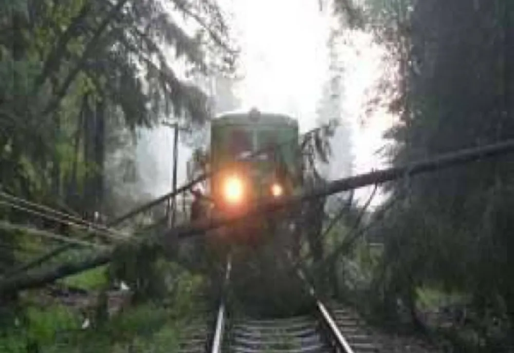 Trafic feroviar blocat în zona Coșna după ce mai mulți copaci au căzut pe calea ferată