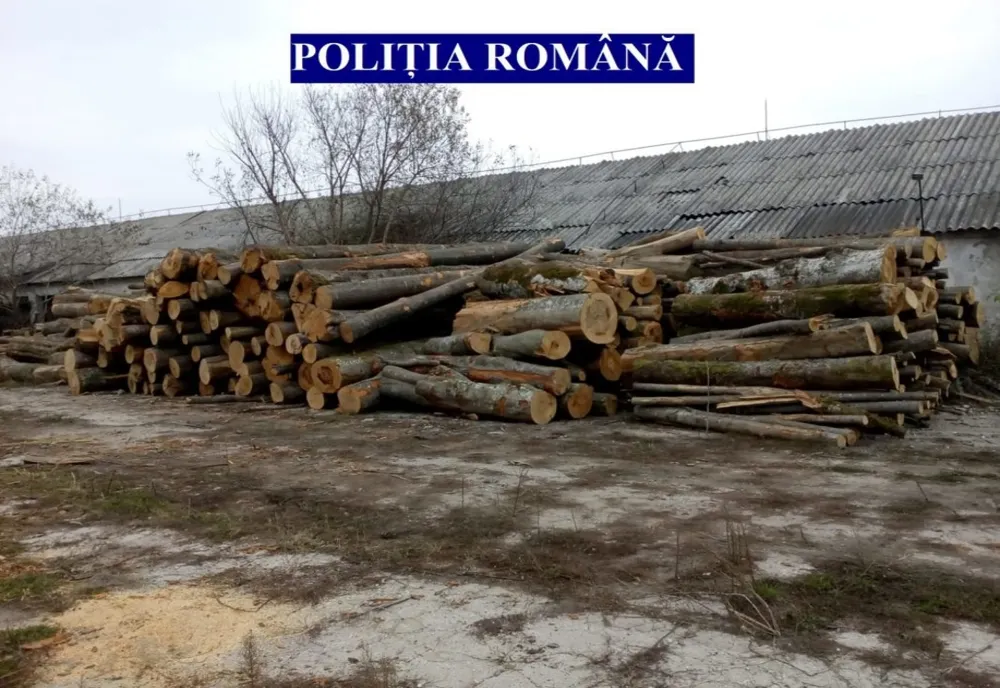 Material lemnos în valoare de 1,2 de milioane lei confiscat de polițiști de la o firmă din Câmpulung Moldovenesc 
