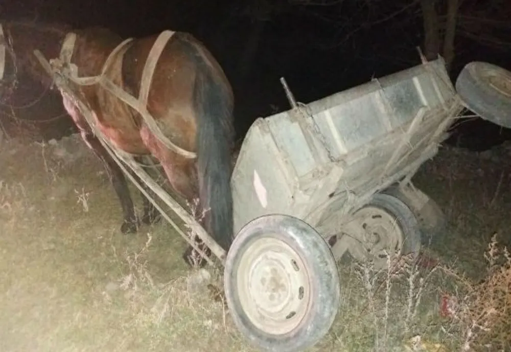 Un căruțaș beat s-a răsturnat cu căruța