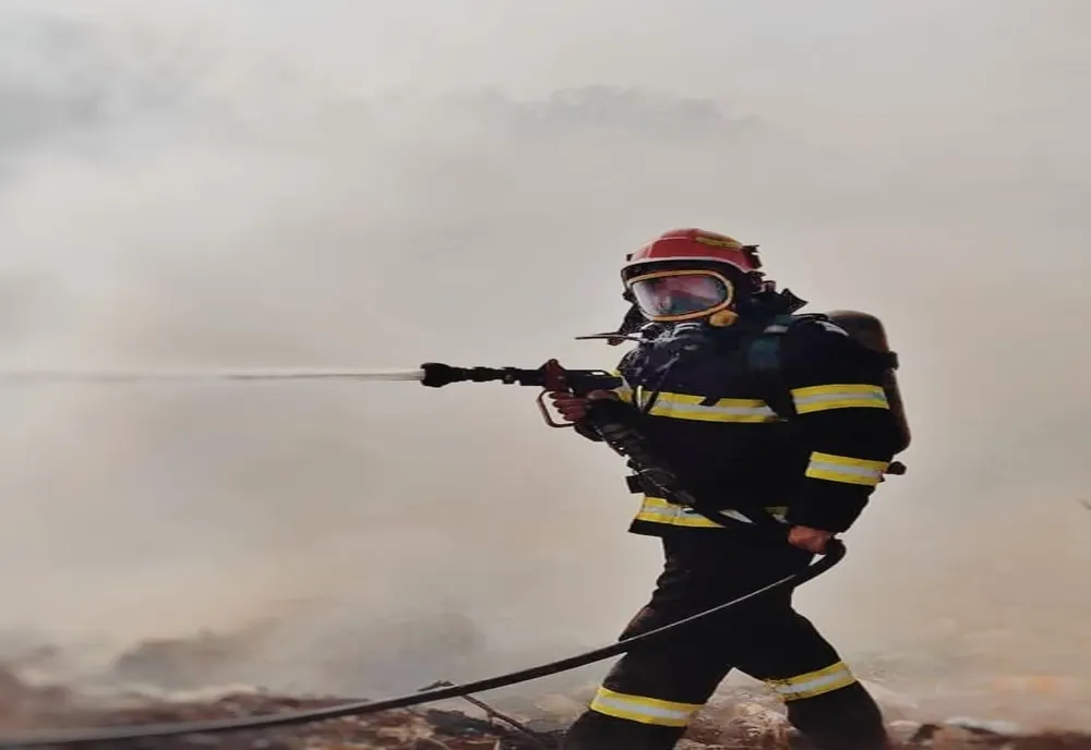 5 hectare de miriște și 1.000 de metri pătrați plantație de salcâmi distruse de incendiu