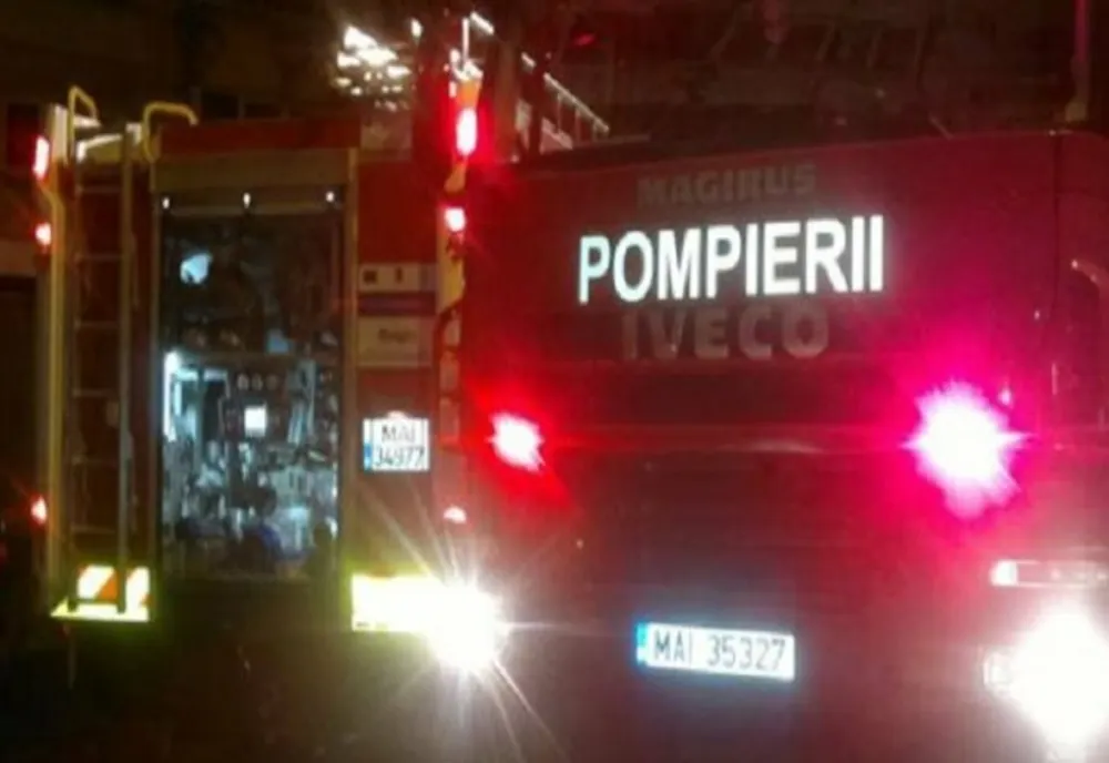 Adăpost de animale făcut scrum din cauza unui scurtcircuit