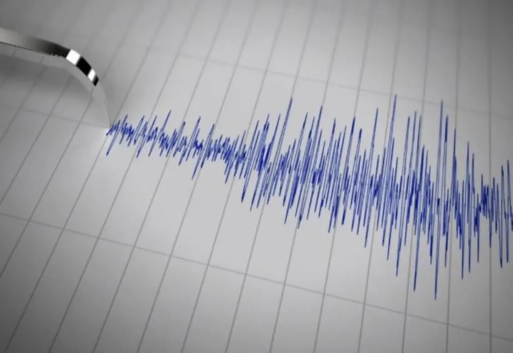 Cutremur, miercuri dimineața, în România - activitate seismică intensă
