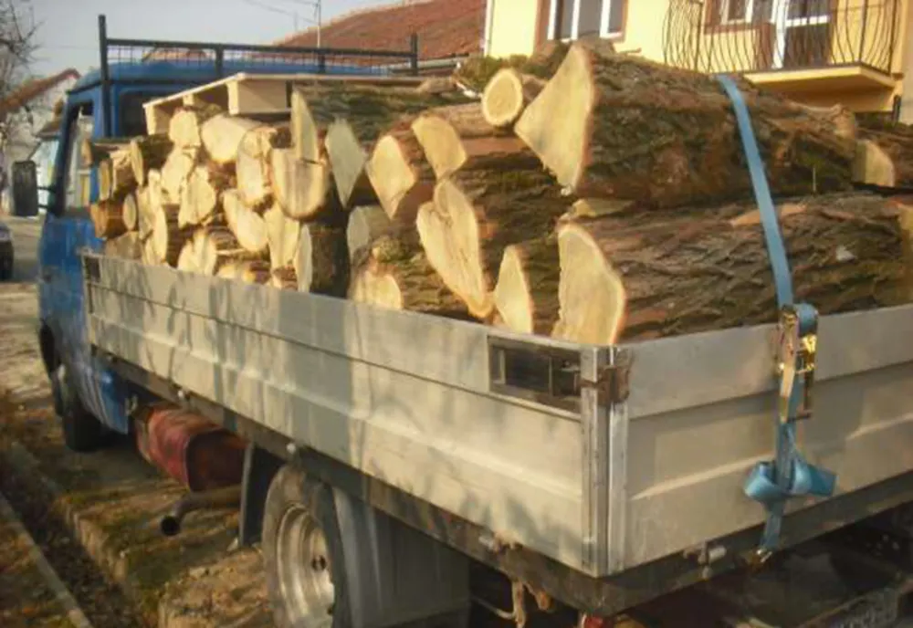 ”Scutul pădurii”- 200 m.c. material lemnos confiscat într-o săptămână