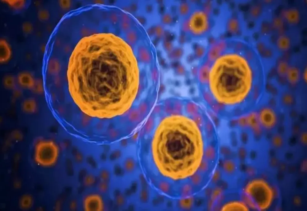 Doctorița din Suceava arestată pentru mită a cerut șpagă dublă de la un pacient care avea două forme de cancer
