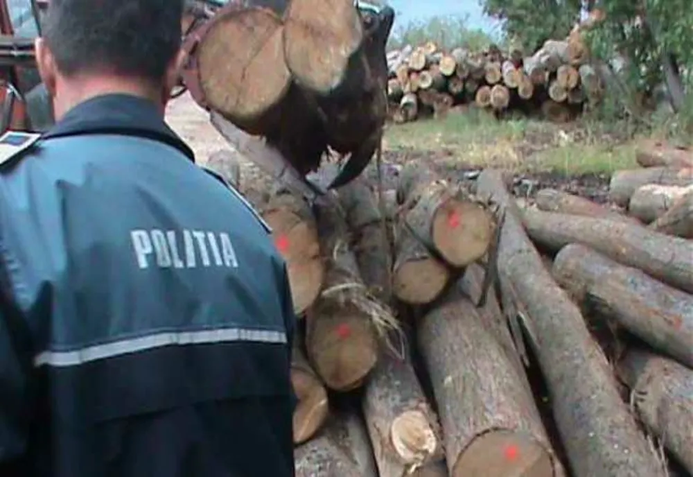 Peste 200 metri cubi material lemnos și un vehicul de mare tonaj, confiscați după o amplă acțiune de control la două unități economice