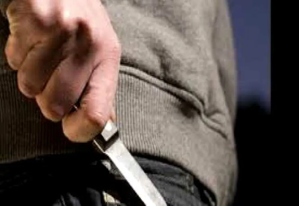 Recidivă în familie. La 26 de ani după ce și-a ucis mama, și-a înjunghiat și fratele