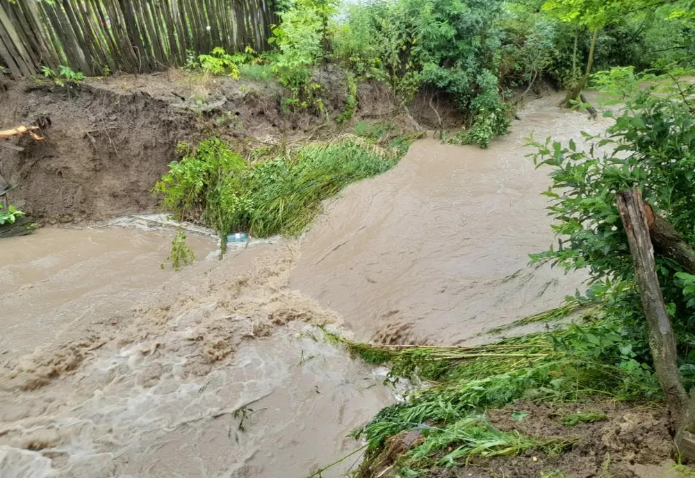 COD GALBEN DE INUNDAŢII PE RÂURI DIN JUDEŢELE SUCEAVA ŞI NEAMŢ, ÎN ORELE URMĂTOARE