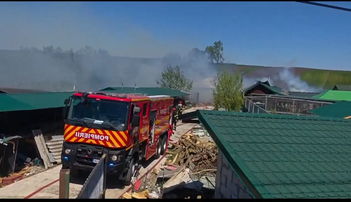 Incendiu la grădina zoologică din Zaharești