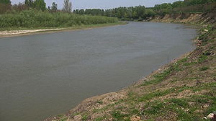 rau