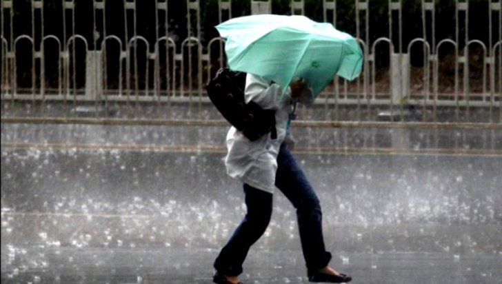 cod galben ploi