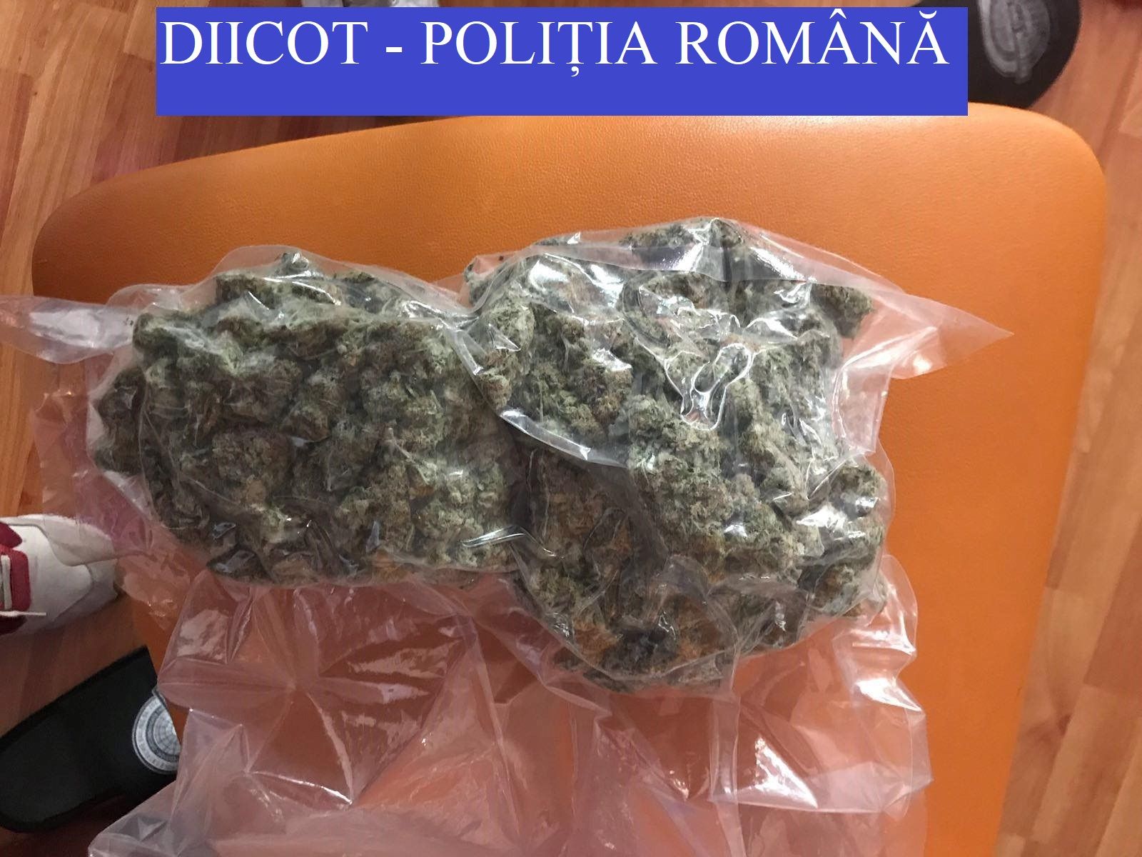 droguri Suceava