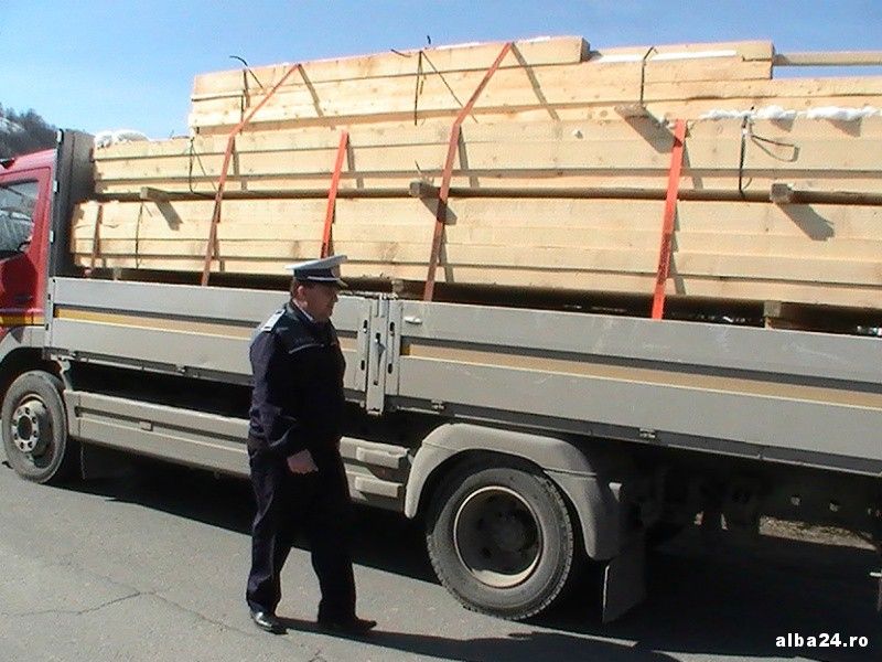 transport ilegal cherestea