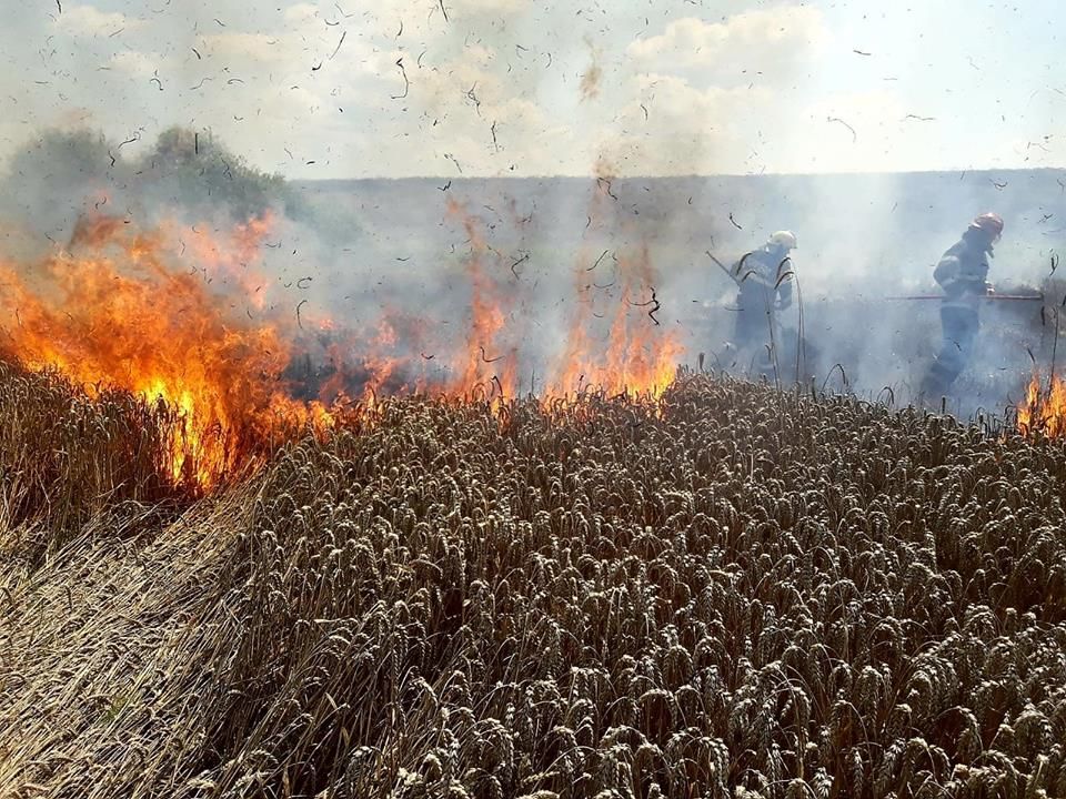 incendiu vegetatie Ratoș