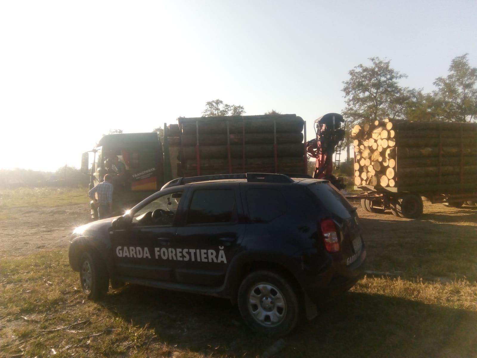 Suceava material lemnos confiscat
