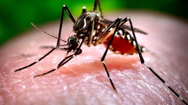 WEST NILE