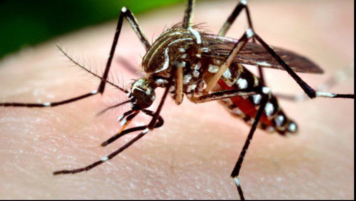 West Nile