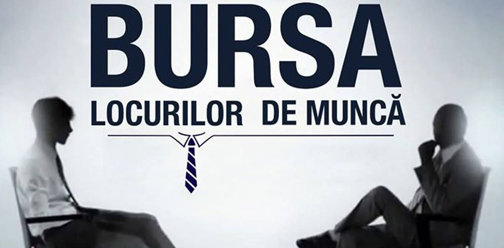 bursa locurilor de muncă pentru absolvenți