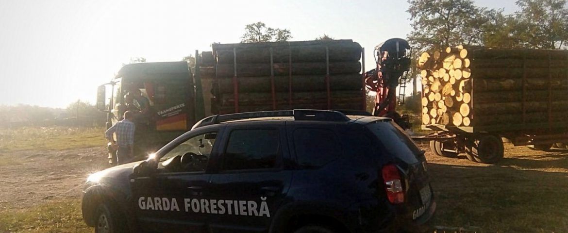controale Garda Forestieră Suceava