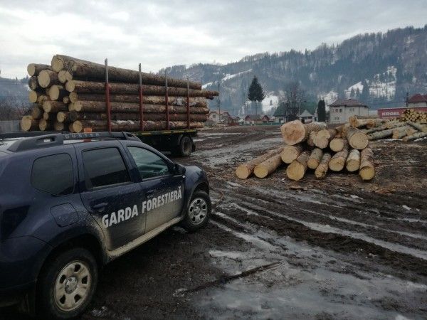 controale Garda Forestieră Suceava