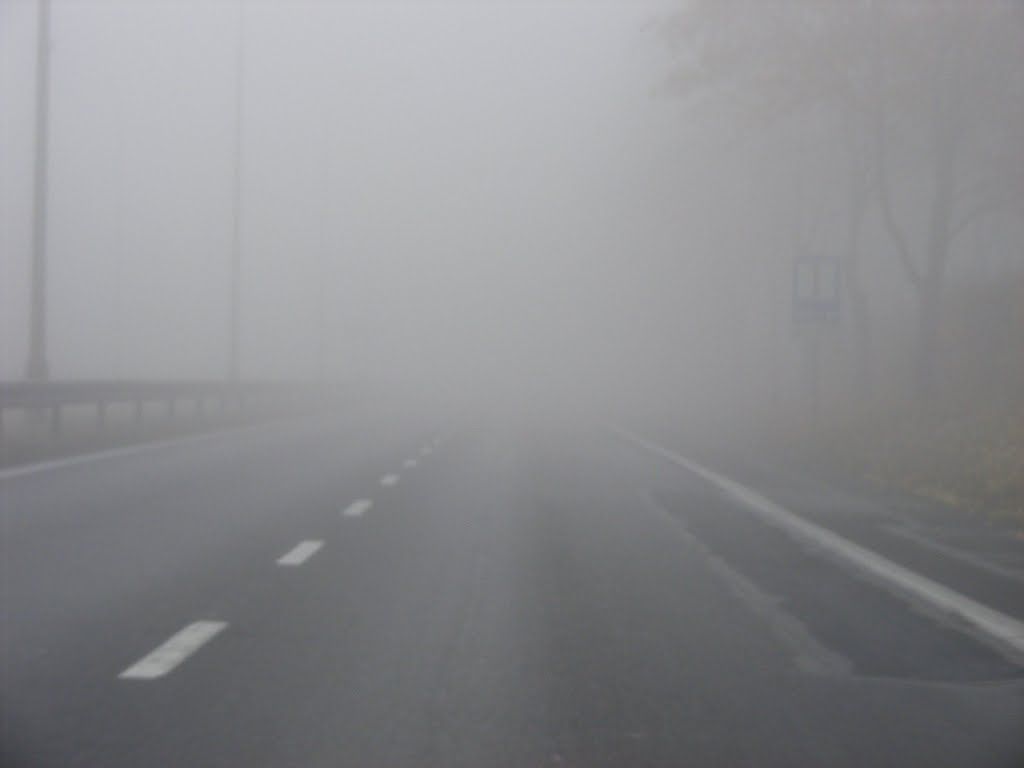 ceață