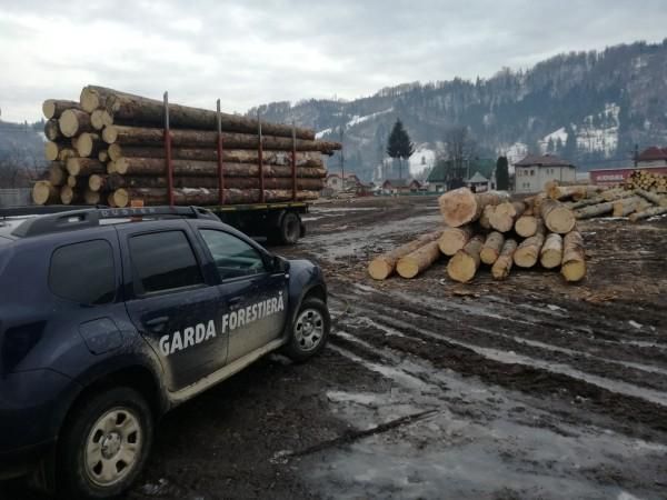 control-garda-forestiera-suceava-01