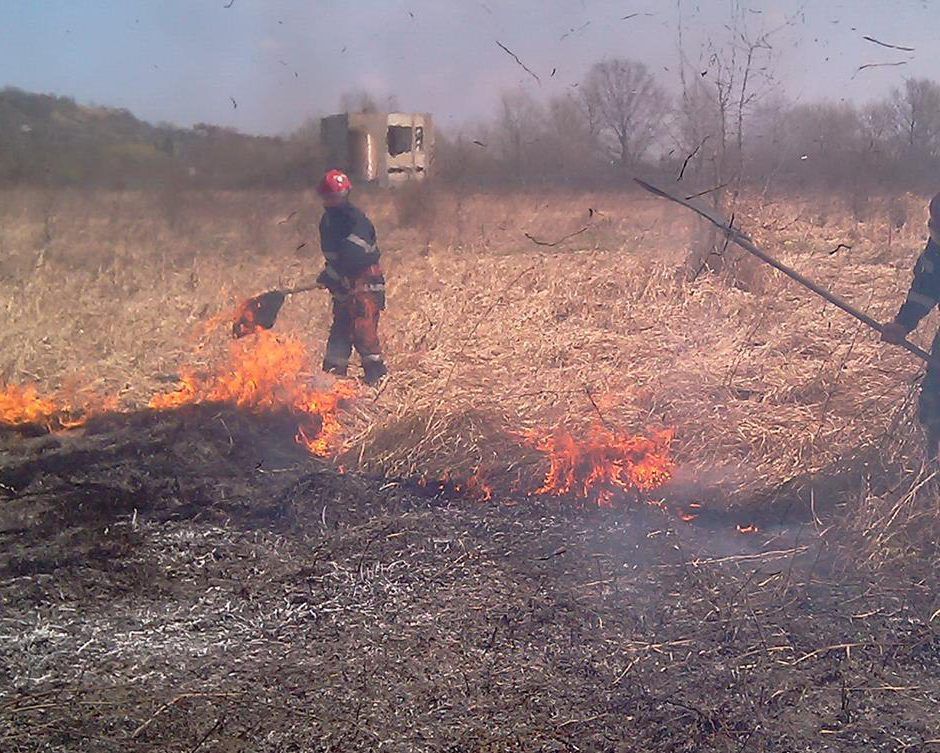 incendiu vegetatie