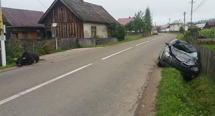 accident Vatra Moldoviței, sursă foto Atenție Poliția