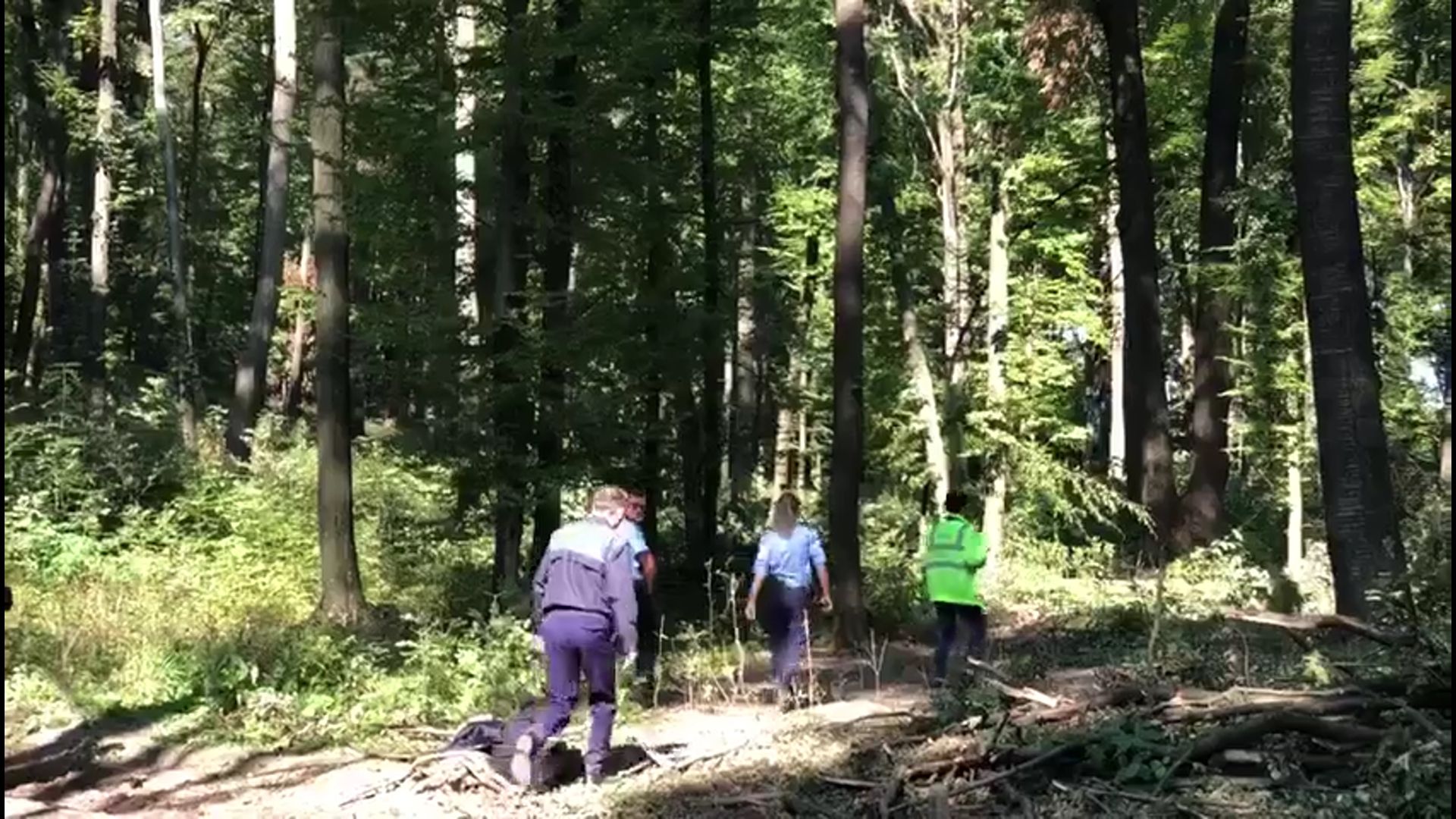 mort în pădure, foto arhivă