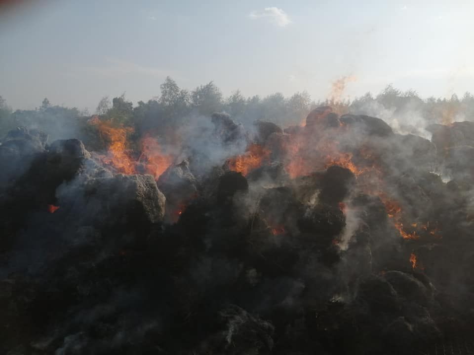incendiu Poiana