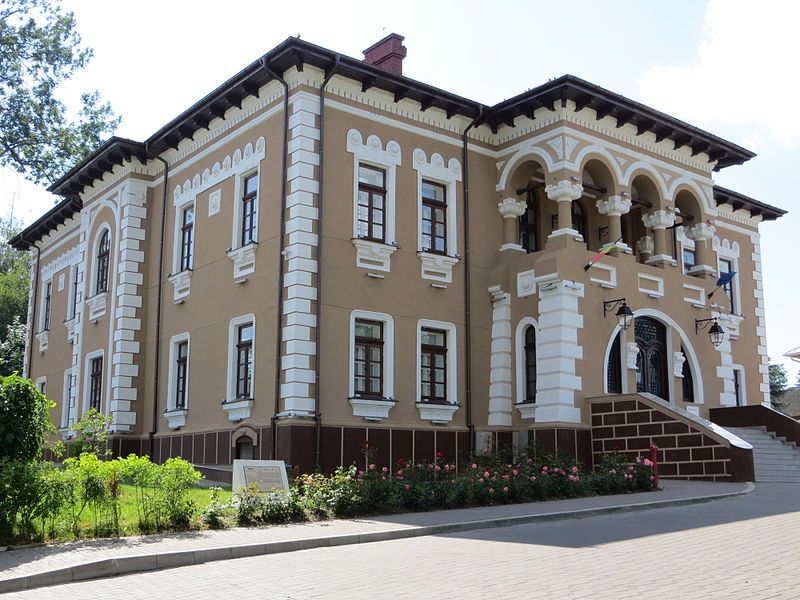 muzeul-de-art-ion-irimescu