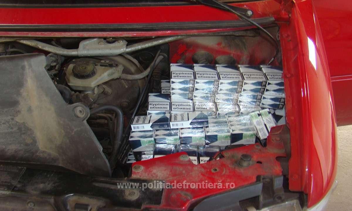 tigari autoturism