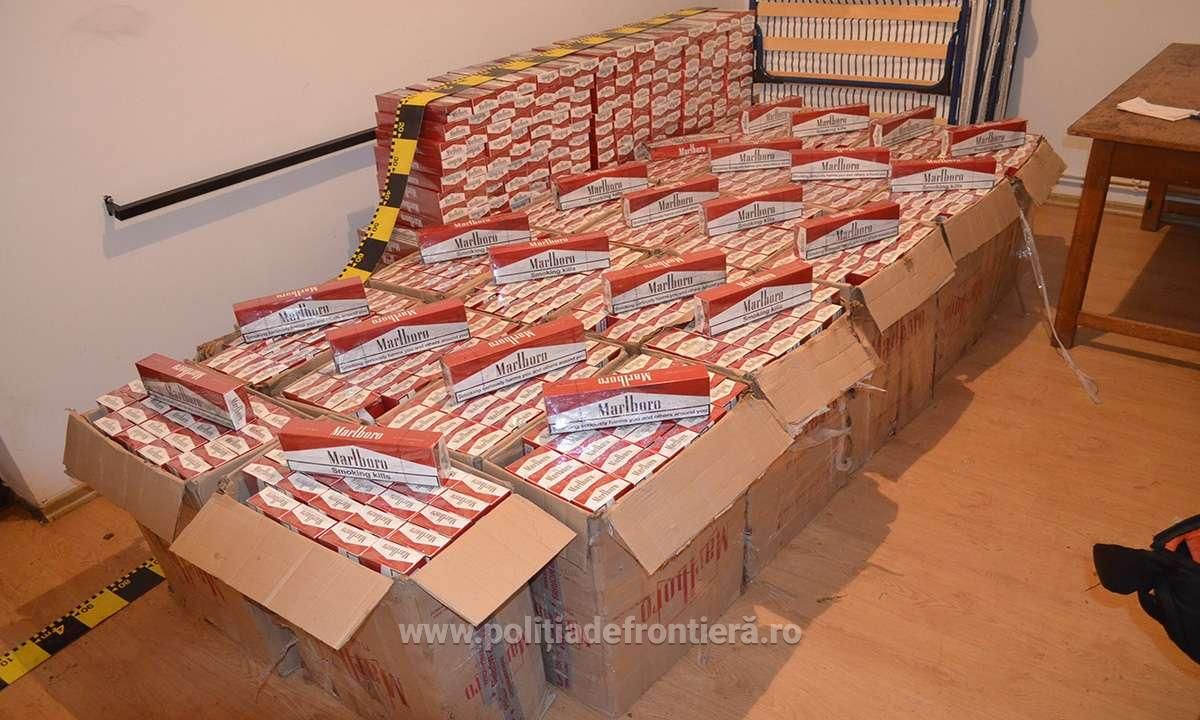 țigări contrabandă