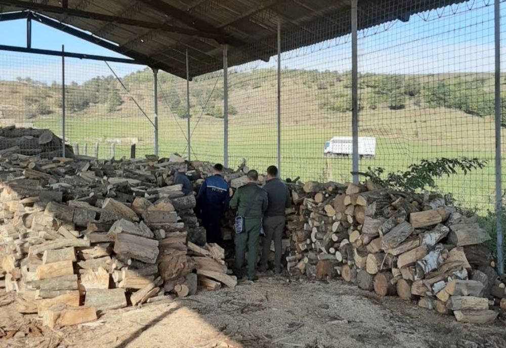 Lemn confiscat și amendă de 14.000 lei pentru o firmă din Păltinoasa