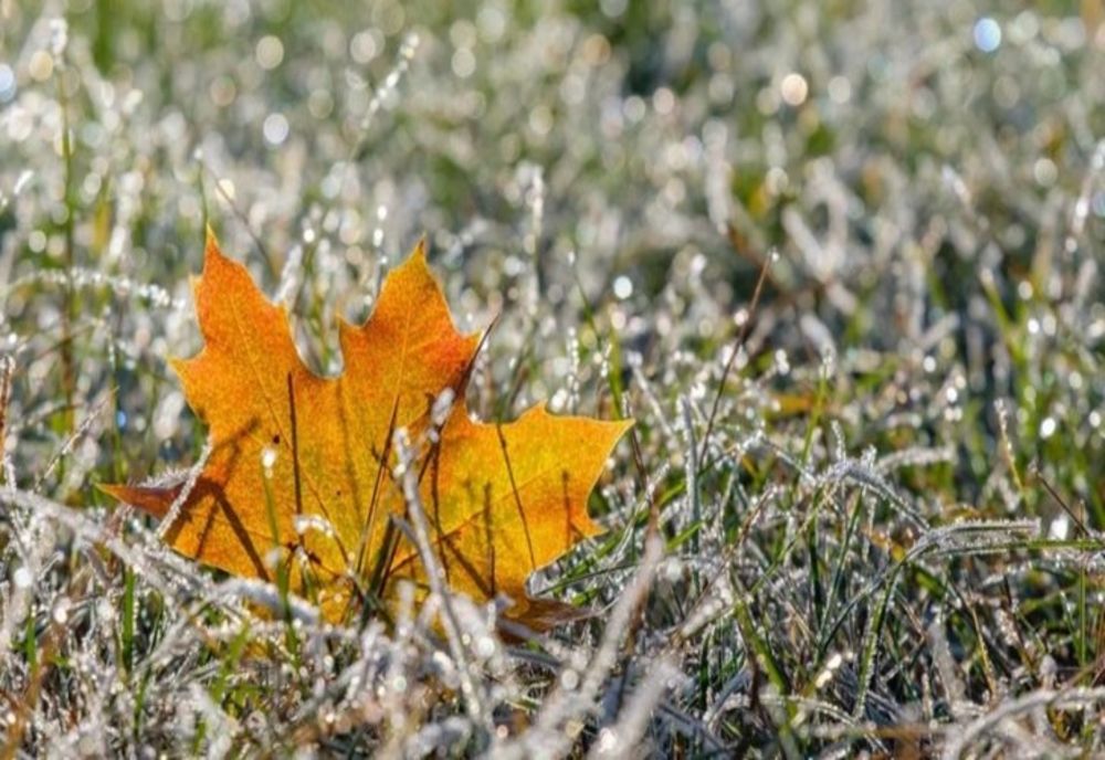 Prognoza meteo pentru următoarele două săptămâni