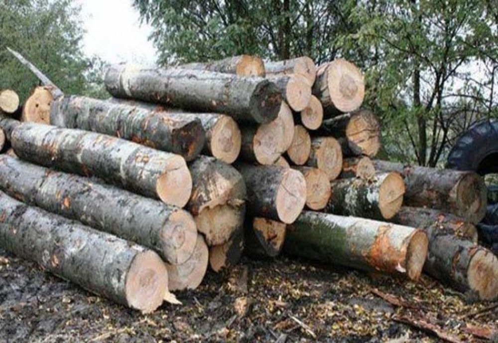 Material lemnos în valoare de aproape 40.000 de lei confiscat de polițiști