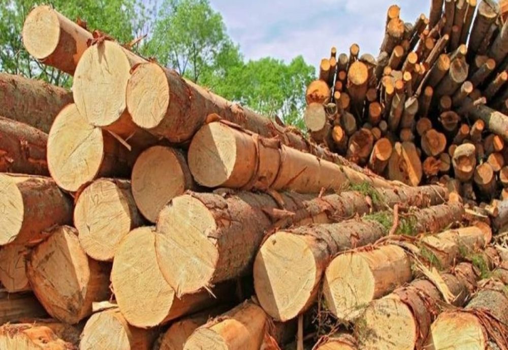 Lemn confiscat în valoare de peste 23.000 de lei confiscat de polițiști