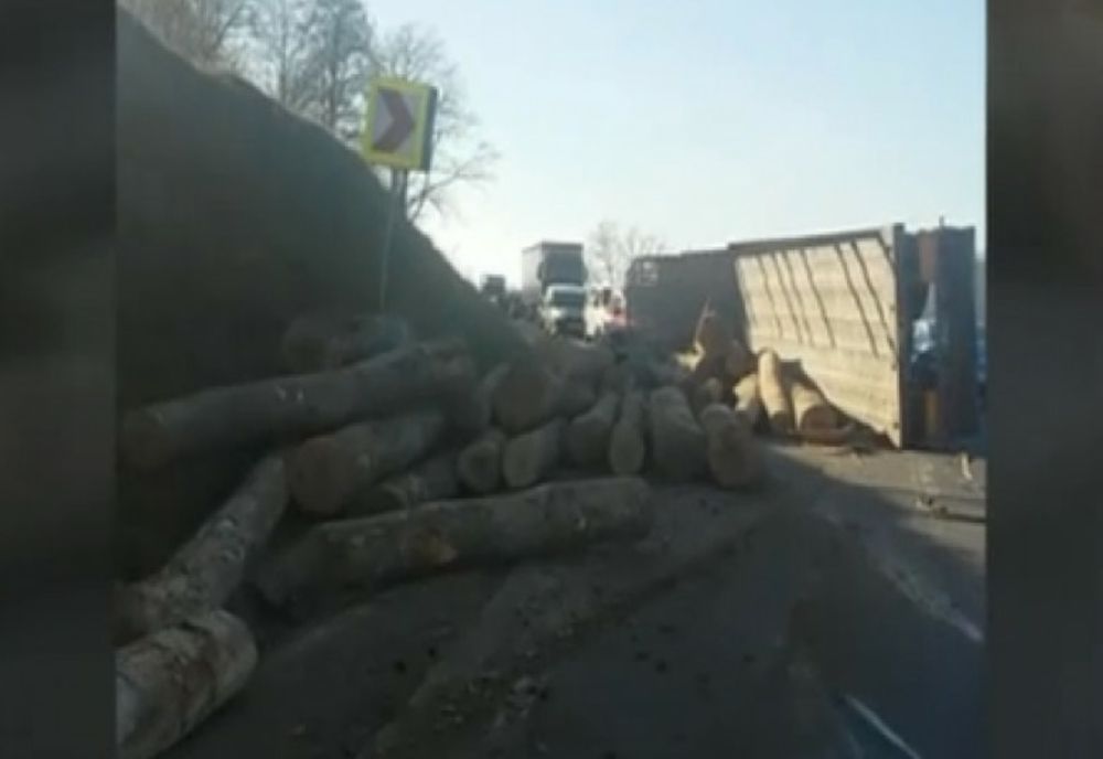 Reacția Prefecturii după agresarea unui activist de mediu